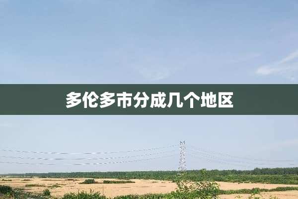 多伦多市分成几个地区