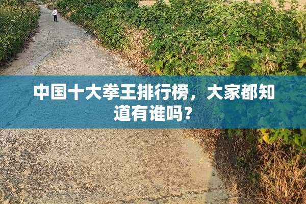 中国十大拳王排行榜，大家都知道有谁吗？