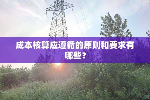 成本核算应遵循的原则和要求有哪些？