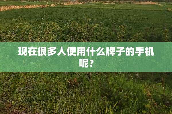 现在很多人使用什么牌子的手机呢？