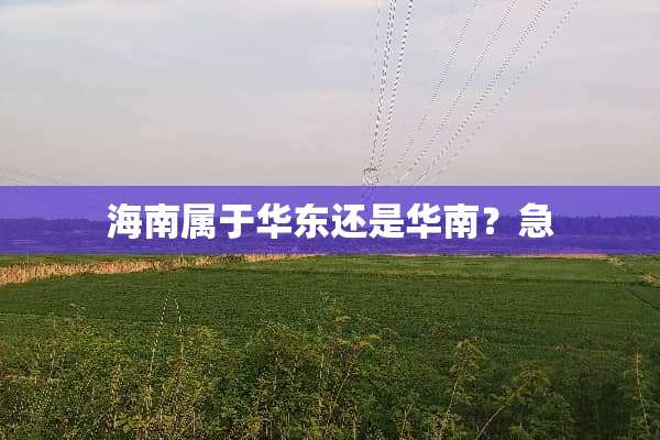 海南属于华东还是华南？急