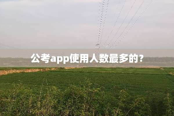 公考app使用人数最多的？