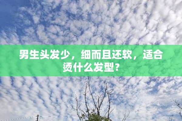男生头发少，细而且还软，适合烫什么发型？