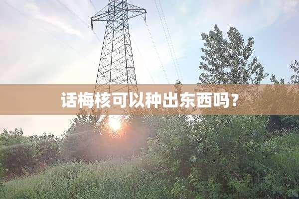 话梅核可以种出东西吗？