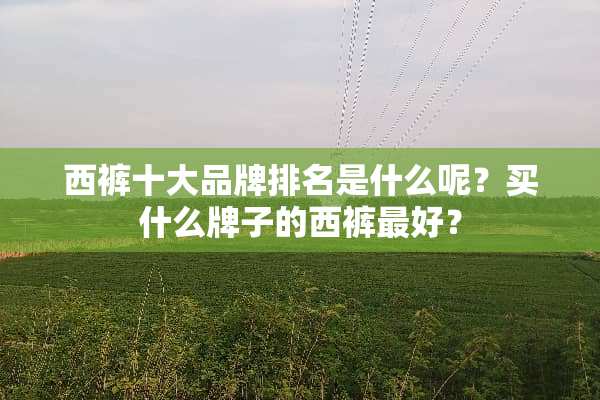 西裤十大品牌排名是什么呢？买什么牌子的西裤最好？