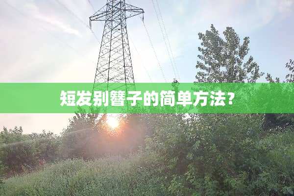 短发别簪子的简单方法？