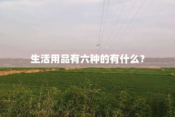 生活用品有六种的有什么？