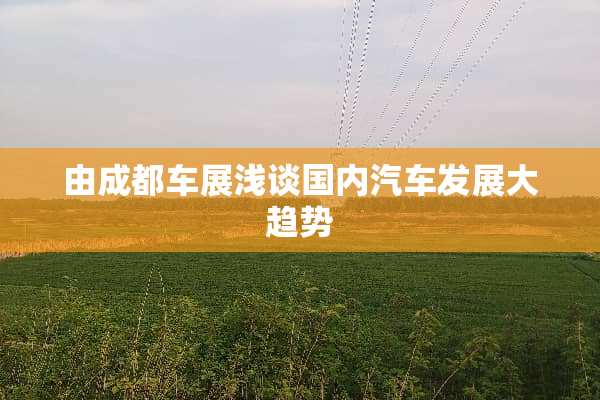 由成都车展浅谈国内汽车发展大趋势