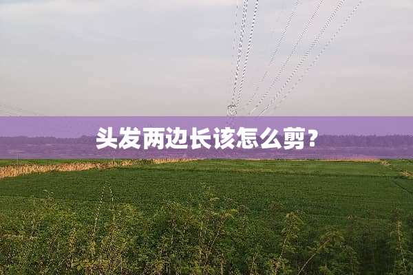 头发两边长该怎么剪？