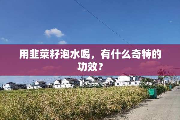 用韭菜籽泡水喝，有什么奇特的功效？