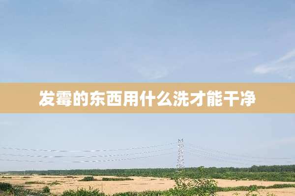 发霉的东西用什么洗才能干净