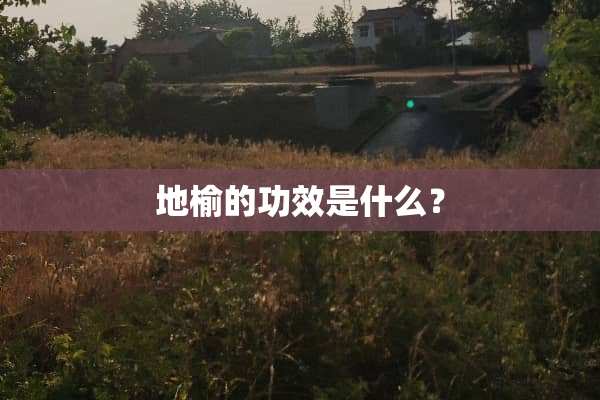 地榆的功效是什么？