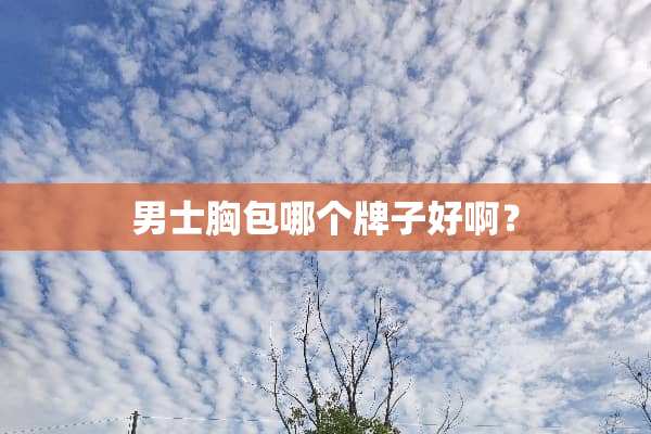 男士胸包哪个牌子好啊？
