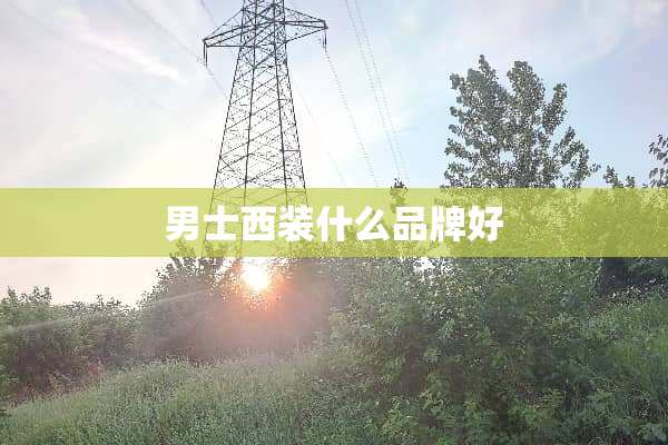 男士西装什么品牌好