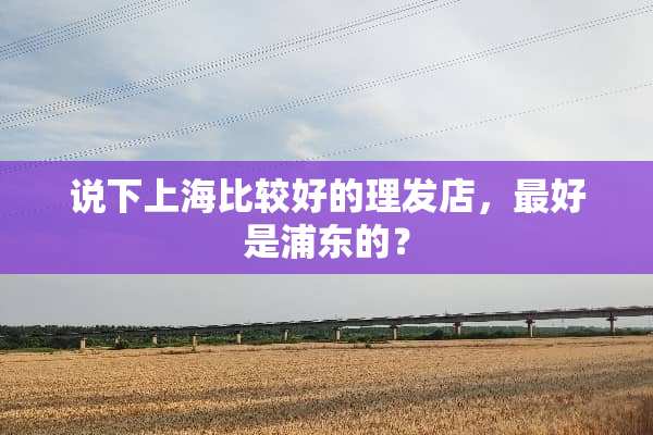 说下上海比较好的理发店，最好是浦东的？