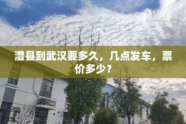 澧县到武汉要多久，几点发车，票价多少？