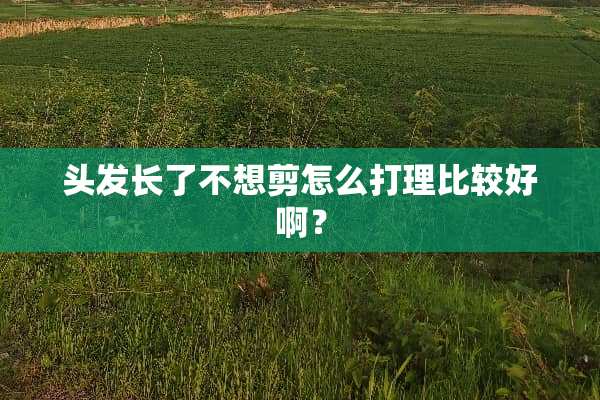 头发长了不想剪怎么打理比较好啊？