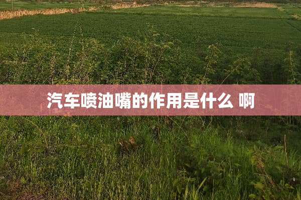 汽车喷油嘴的作用是什么 啊