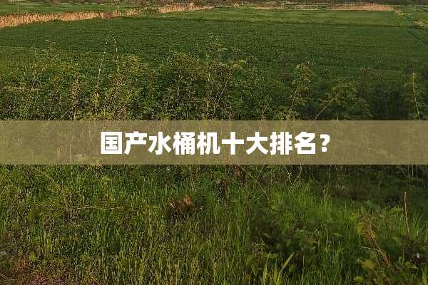 国产水桶机十大排名？