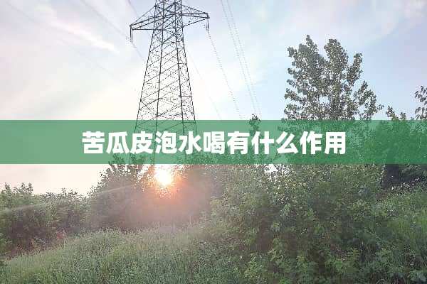 苦瓜皮泡水喝有什么作用