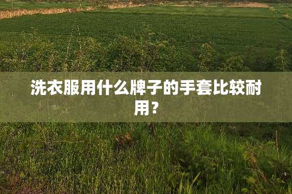 洗衣服用什么牌子的手套比较耐用？