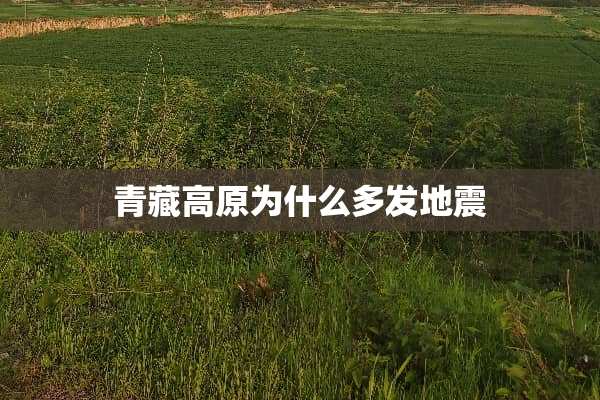 青藏高原为什么多发地震