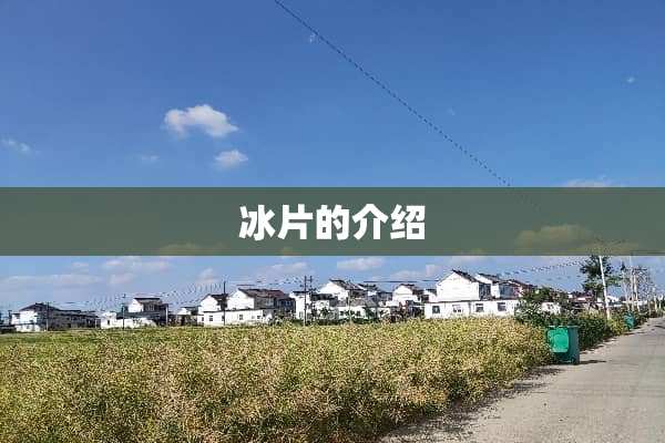 冰片的介绍