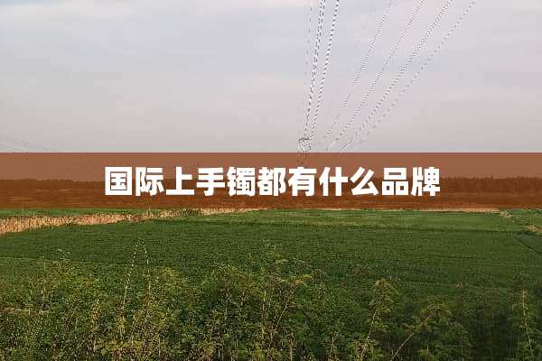 国际上手镯都有什么品牌