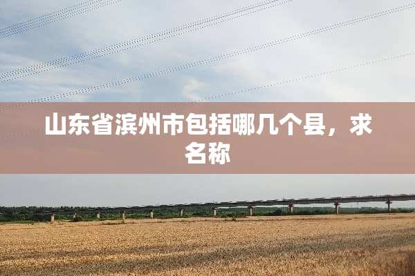 山东省滨州市包括哪几个县，求名称