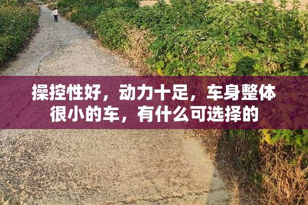 操控性好，动力十足，车身整体很小的车，有什么可选择的