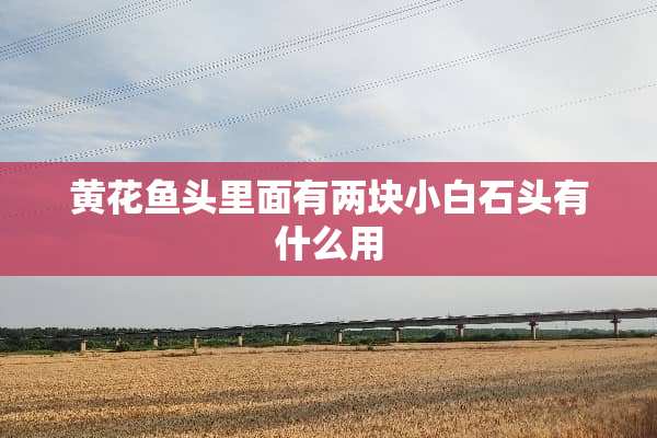 黄花鱼头里面有两块小白石头有什么用