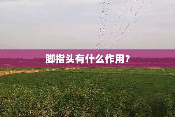 脚指头有什么作用？
