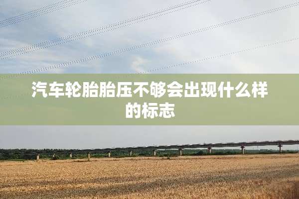 汽车轮胎胎压不够会出现什么样的标志