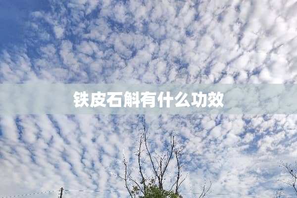 铁皮石斛有什么功效