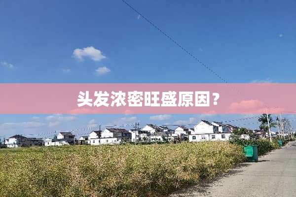 头发浓密旺盛原因？