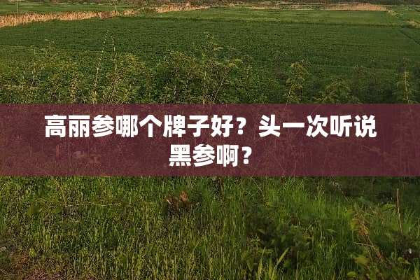 高丽参哪个牌子好？头一次听说黑参啊？