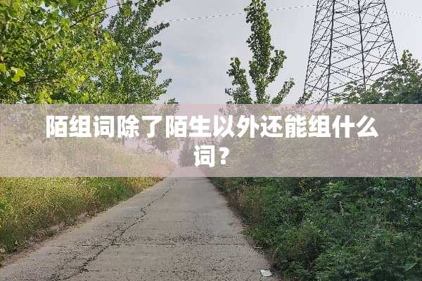 陌组词除了陌生以外还能组什么词？
