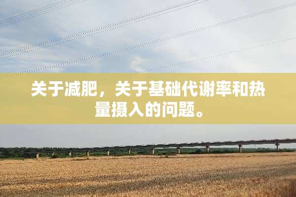 关于减肥，关于基础代谢率和热量摄入的问题。