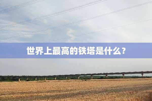 世界上最高的铁塔是什么？