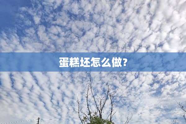 蛋糕坯怎么做？