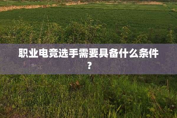 职业电竞选手需要具备什么条件？