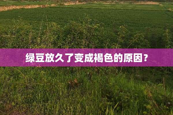 绿豆放久了变成褐色的原因？
