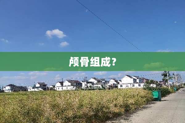 颅骨组成？