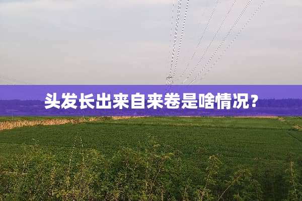 头发长出来自来卷是啥情况？