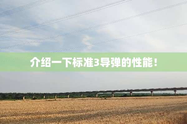 介绍一下标准3**的性能！