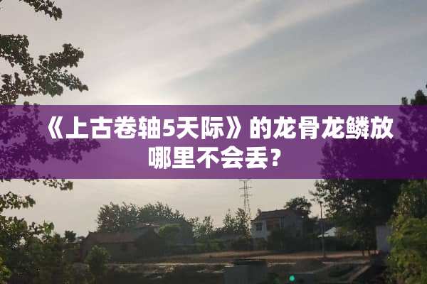 《上古卷轴5天际》的龙骨龙鳞放哪里不会丢？