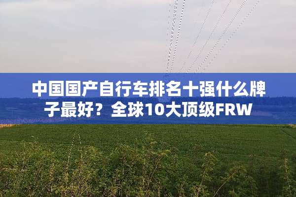 中国国产自行车排名十强什么牌子最好？全球10大**FRW