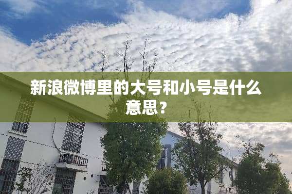 新浪微博里的大号和小号是什么意思？