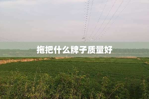 拖把什么牌子质量好