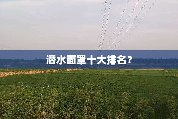 潜水面罩十大排名？